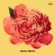 Nando Reis, DUDA BEAT - E.C.T
