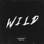 poster Wild Wild