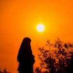 poster ذكروهم مجد امتنا Best Nasheeds