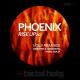 Phoenix (@XmusicX) - Rise up 20 (Desyfer & Hypnosis remix)