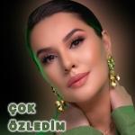 poster Çok Özledim Çok Özledim