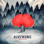 poster The Color of Goodbye Haywire