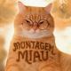 Lenar, Leonardo P - Montagem Miau - Super Slowed