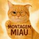 Brazilian warrior, Бразильский фонк - Montagem Miau SPED UP