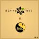 DJ Artak, Sone Silver - I Feel Your Body(Feat. Sone Silver) (Moonnight Remix)