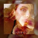 poster Goodbye Goodbye