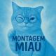 Brazilian warrior, speed up - montagem miau NIGHTCORE (Музыка из тик тока)