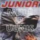 Junior - Jausmai (Party Mix)
