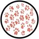 PAWSA - The Groovy Cat (Original Mix)