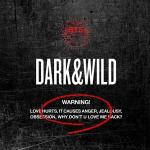 poster Outro : Does that make sense Dark & Wild