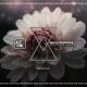 Max Magnani - Moves Like Jagger (Original Mix)
