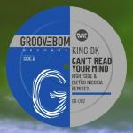 poster Can't Read Your Mind (Rightside Remix) Can't Read Your Mind (Rightside, Pietro Nicosia Remixes)