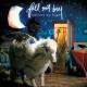 Fall Out Boy - Foll Out Boy - This Ain't A Scene