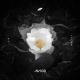 Avicii - Lonely Together (feat. Rita Ora) (zaycev.net)