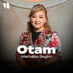 poster Otam Otam