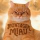 Lenar - MONTAGEM MIAU - Slowed