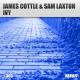 James Cottle, Sam Laxton - Ivy (Extended)
