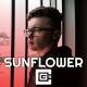 CG5 - Sunflower