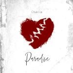 poster Paradise Paradise