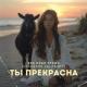 ВИА Ваши Краши, Alexandrs Volobuevs - Ты прекрасна