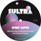 Michael Gray, Definite Grooves, Dyanna Fearon - Spirit Moves (Extended Mix)