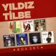 Yıldız Tilbe - Vazgeçtim