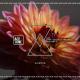 Nari - Keep The Bassline (Original Mix) []