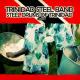 Jamaican Steel Band - Perdoname