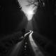 BerryPie - Moonlit Path
