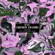 Crooked Colours - Falling (Nils Hoffmann Rmx)